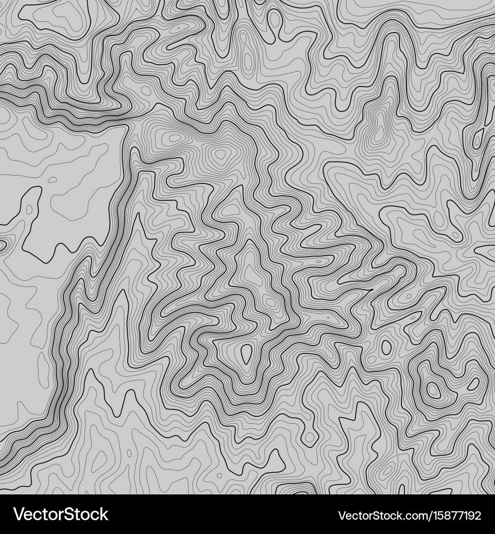 Topographic map background with space for copy Topographic map background with space for copy vector image