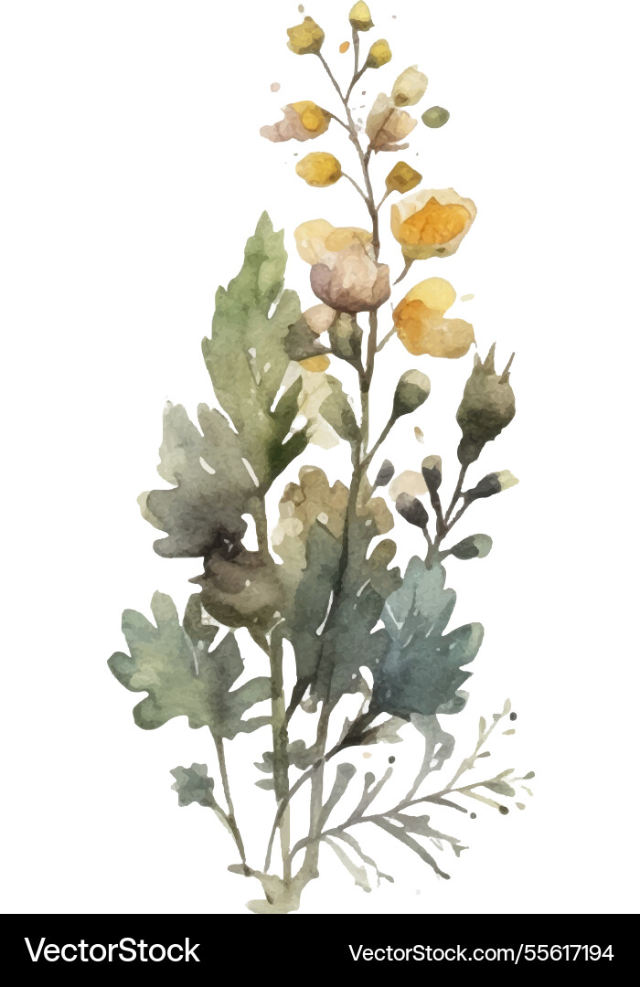 Aquarell bemalte Blume Hand gezogen Aquarell bemalte Blume Hand gezogen vektorbild