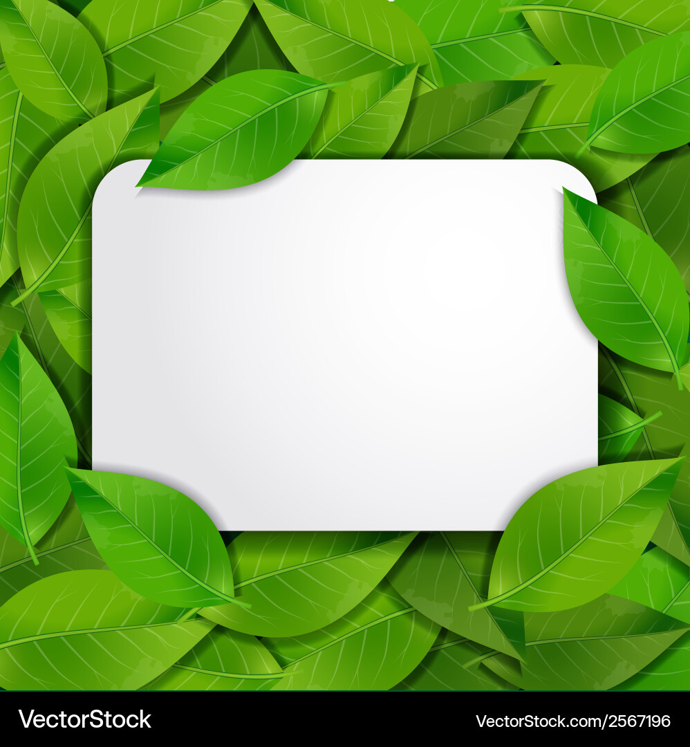 Green leaves frame Royalty Free Vector Image - VectorStock