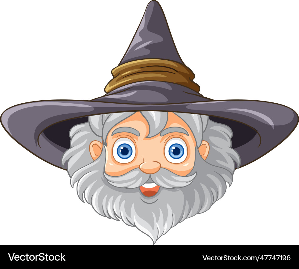 Wizard head cartoon isolated vector image