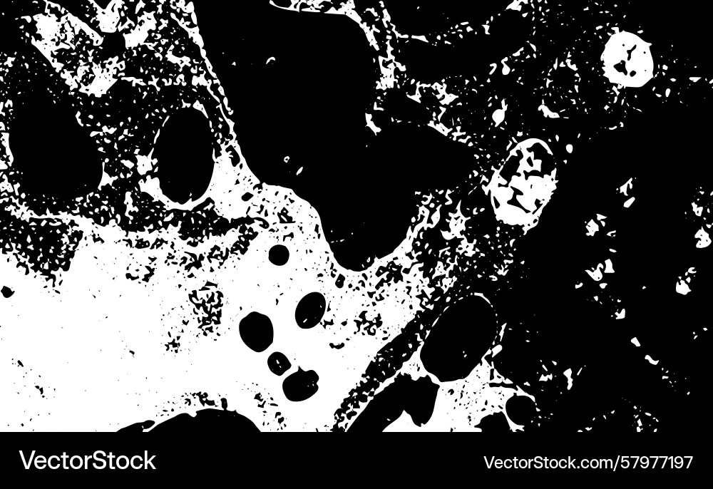Grunge intertwined texture threads lines wire Vector Image