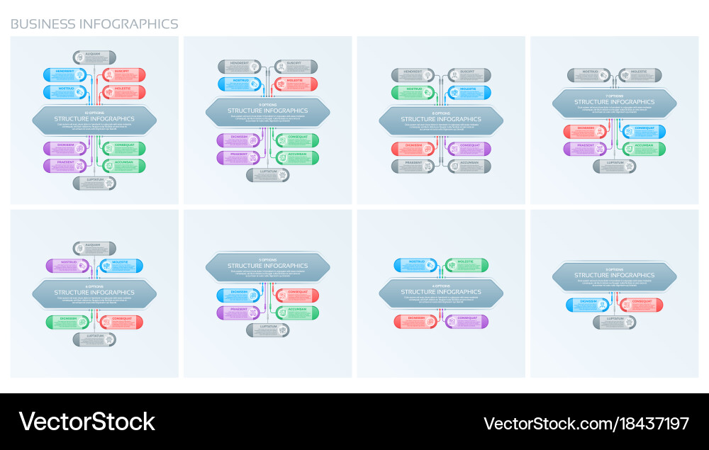 Set of infographics template with structure vector image