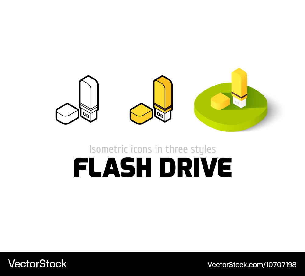 Flash drive icon in different style vector image