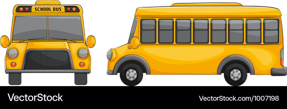 School Bus Front View Vector Image