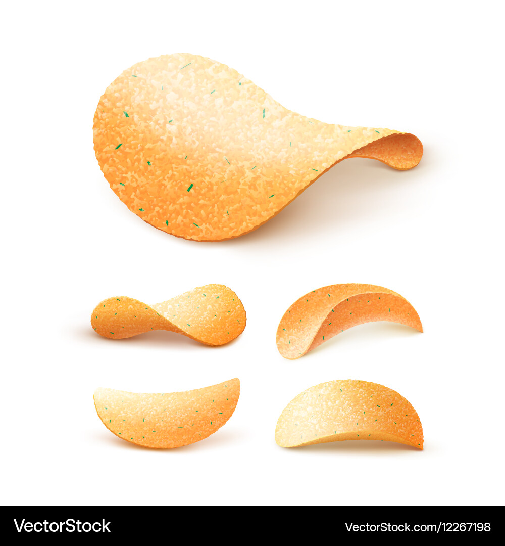 Set of potato crispy chips close up isolated Vector Image