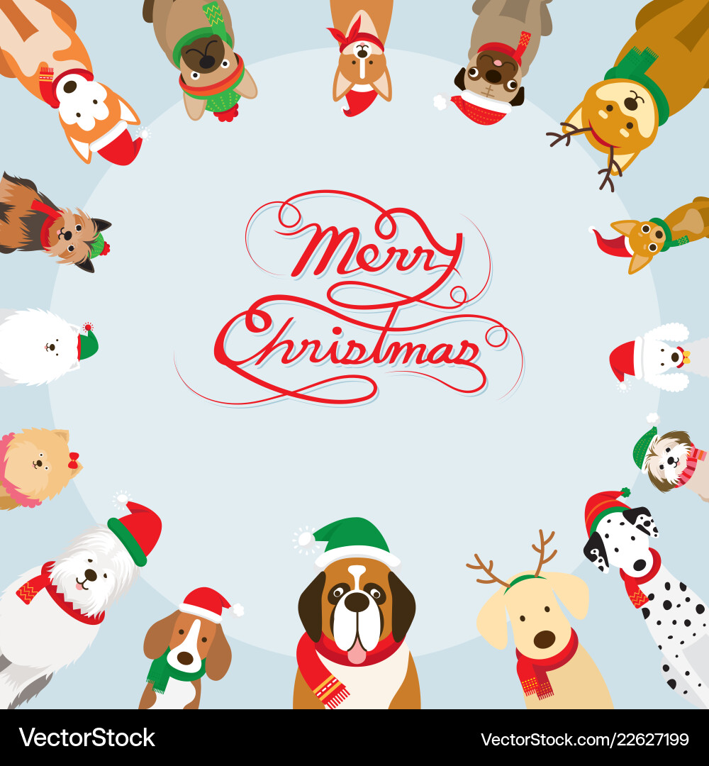 Christmas Dogs Frame Vector Image