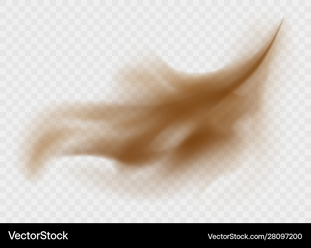 Dust cloud isolated on a transparent background Vector Image