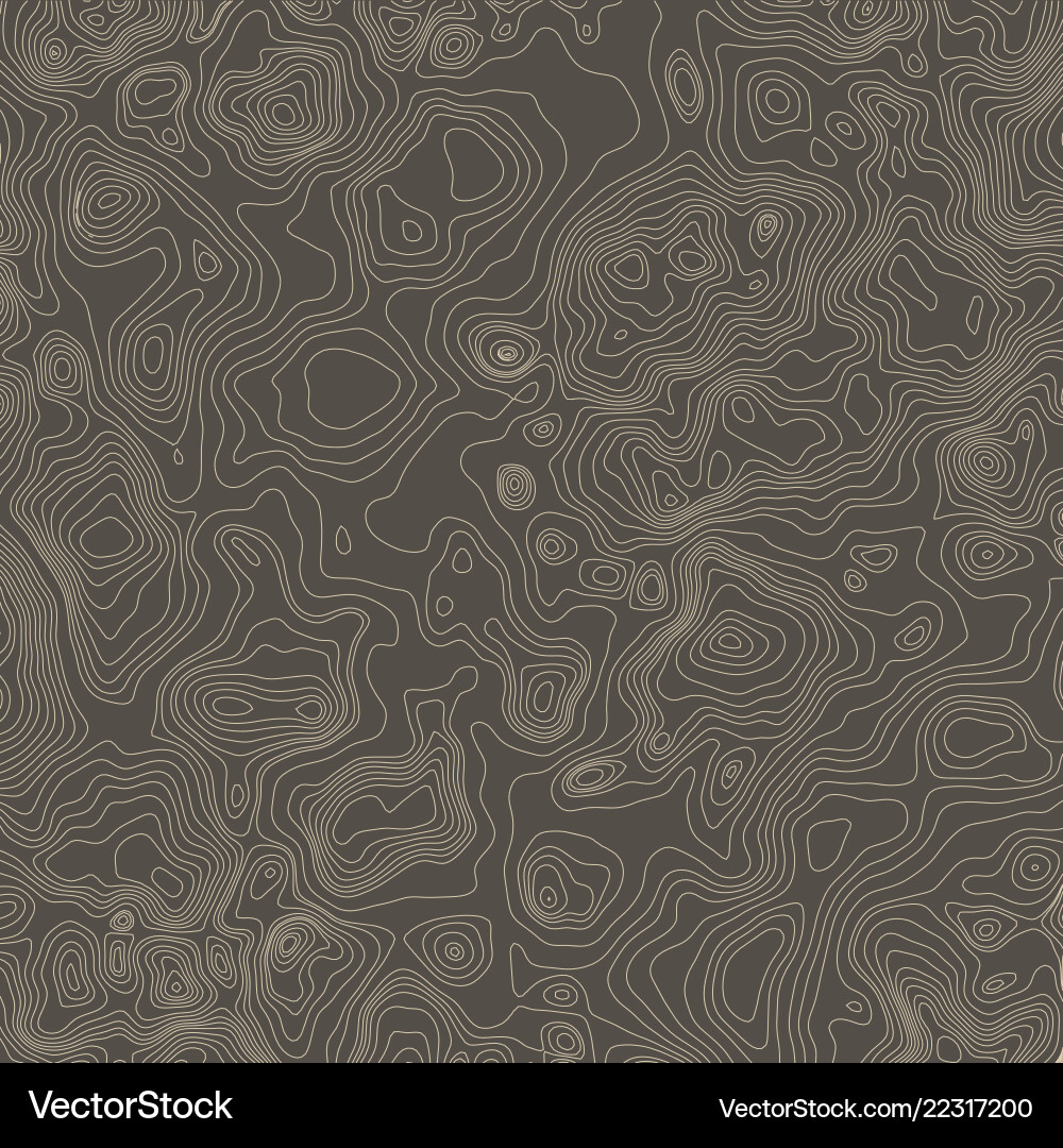 Topographic map background concept with space Topographic map background concept with space vector image