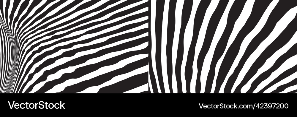 Wild zebra wave pattern set with black and white vector image