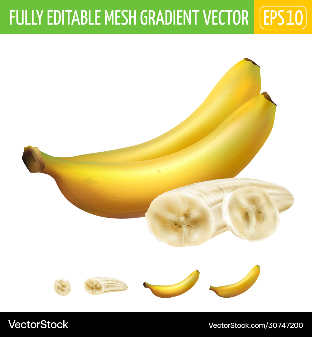 Zusammensetzung zwei ganze Bananen und ein geschnitten Zusammensetzung zwei ganze Bananen und ein geschnitten vektorbild