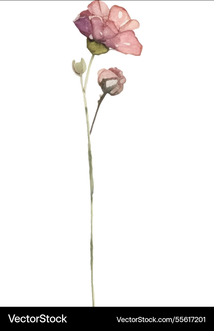 Aquarell bemalte Blume Hand gezogen Aquarell bemalte Blume Hand gezogen vektorbild