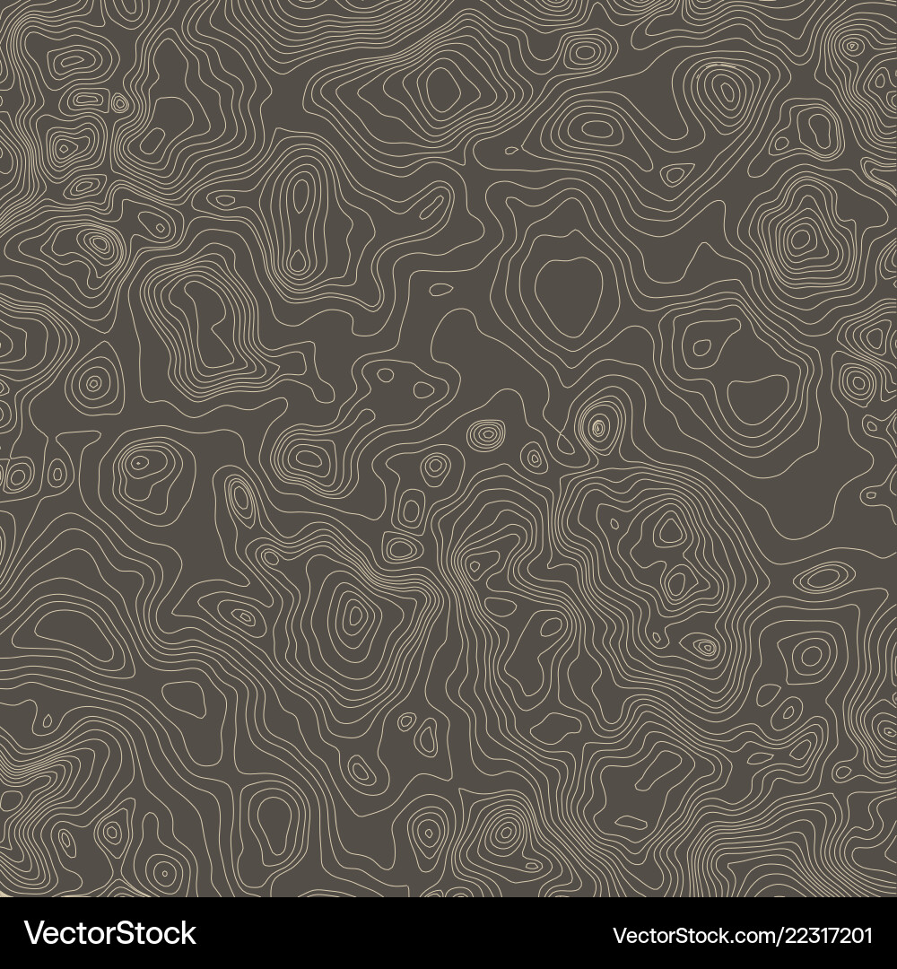 Topographic Map Background - Contour Lines Vector Image