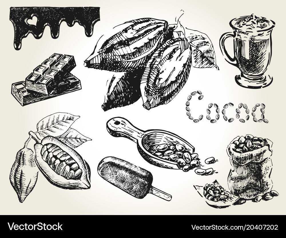Cocoa Elements - Engraved Set vector image