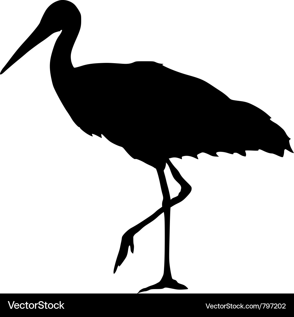 Stork Silhouette vector image