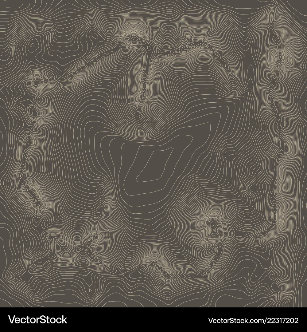 Topographic Map Background - Contour Lines vector image