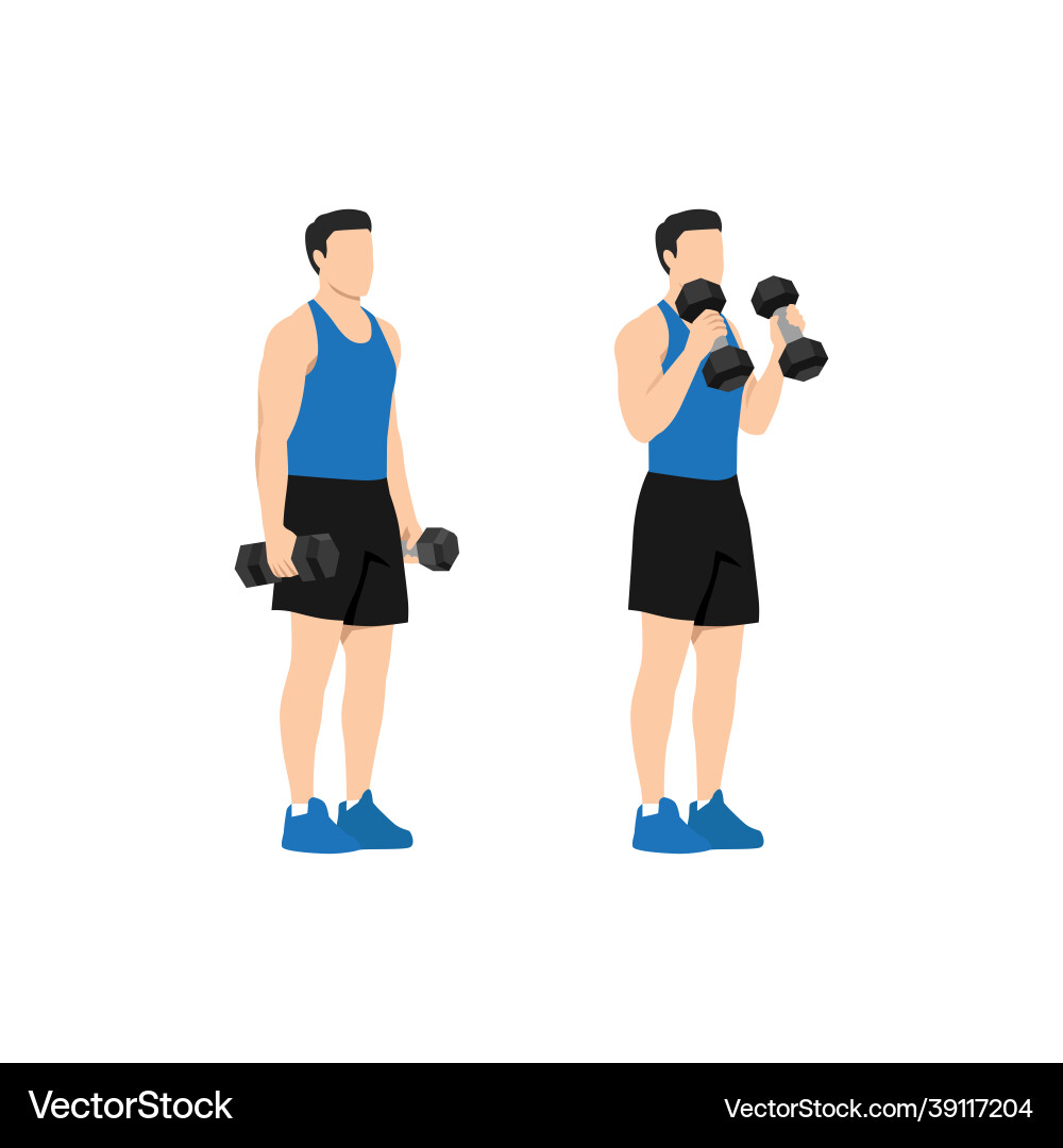 Man doing standing dumbbell bicep hammer curls Vector Image