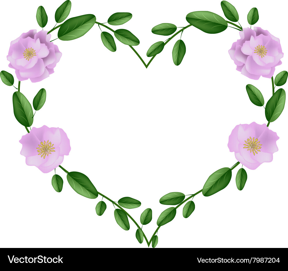 Pink damask roses in a heart shape Vector Image
