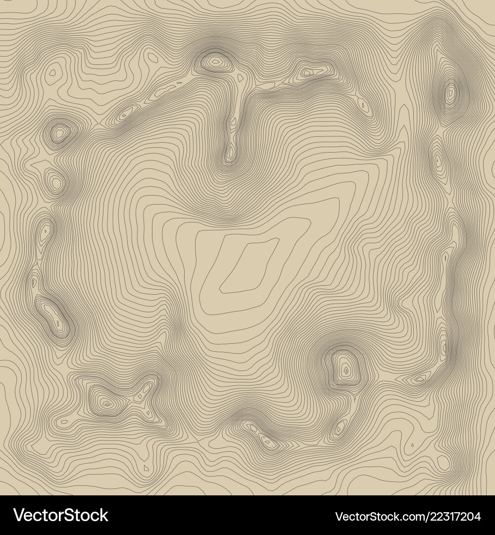 Topographic map background concept with space Topographic map background concept with space Vector Image