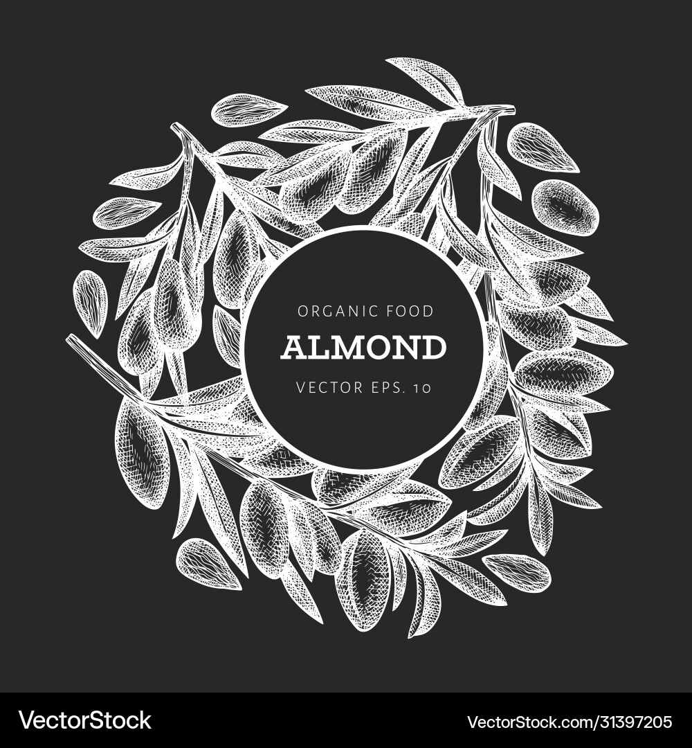 Hand drawn sketch almond design template organic Hand drawn sketch almond design template organic vector image