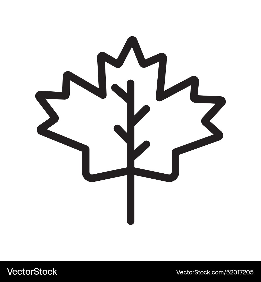 Maple leaf icon black line art Royalty Free Vector Image