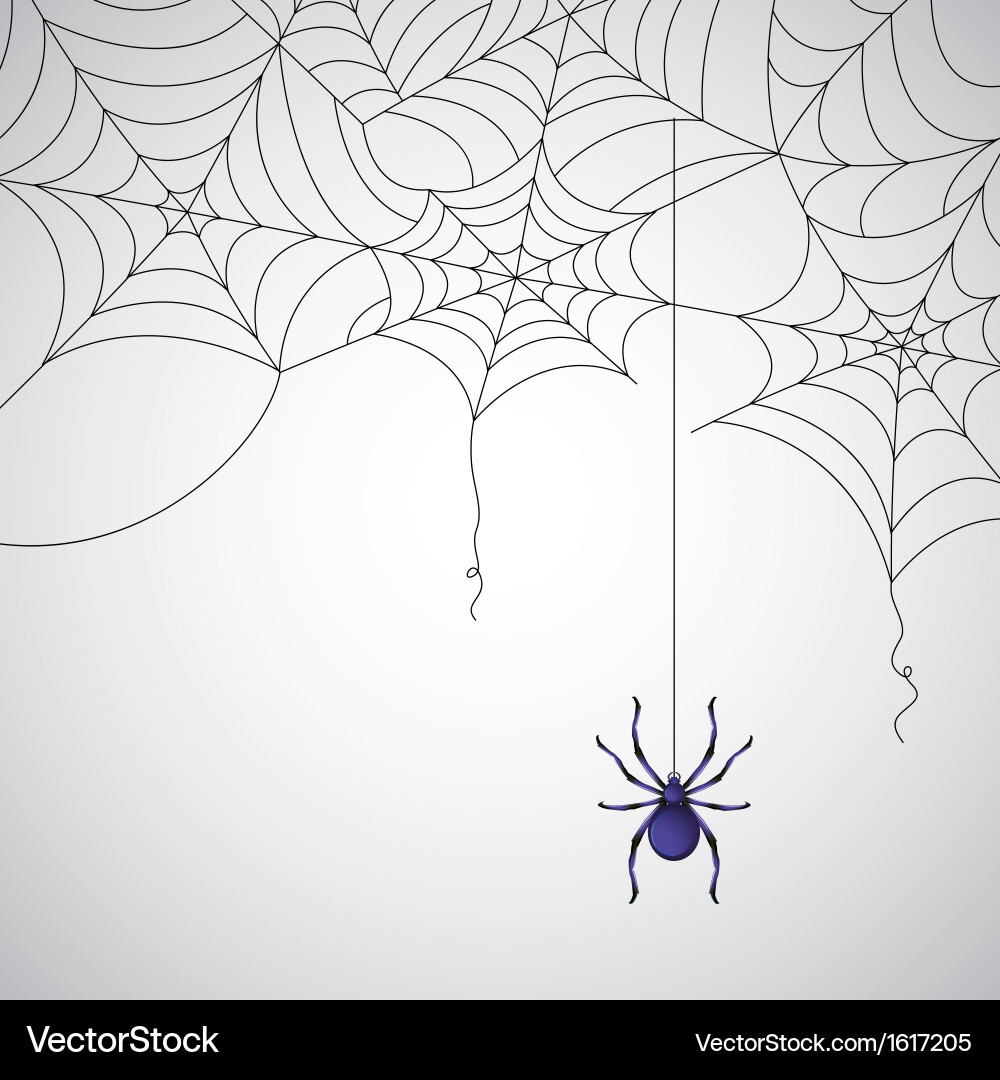 Spooky Spider Web Pattern vector image