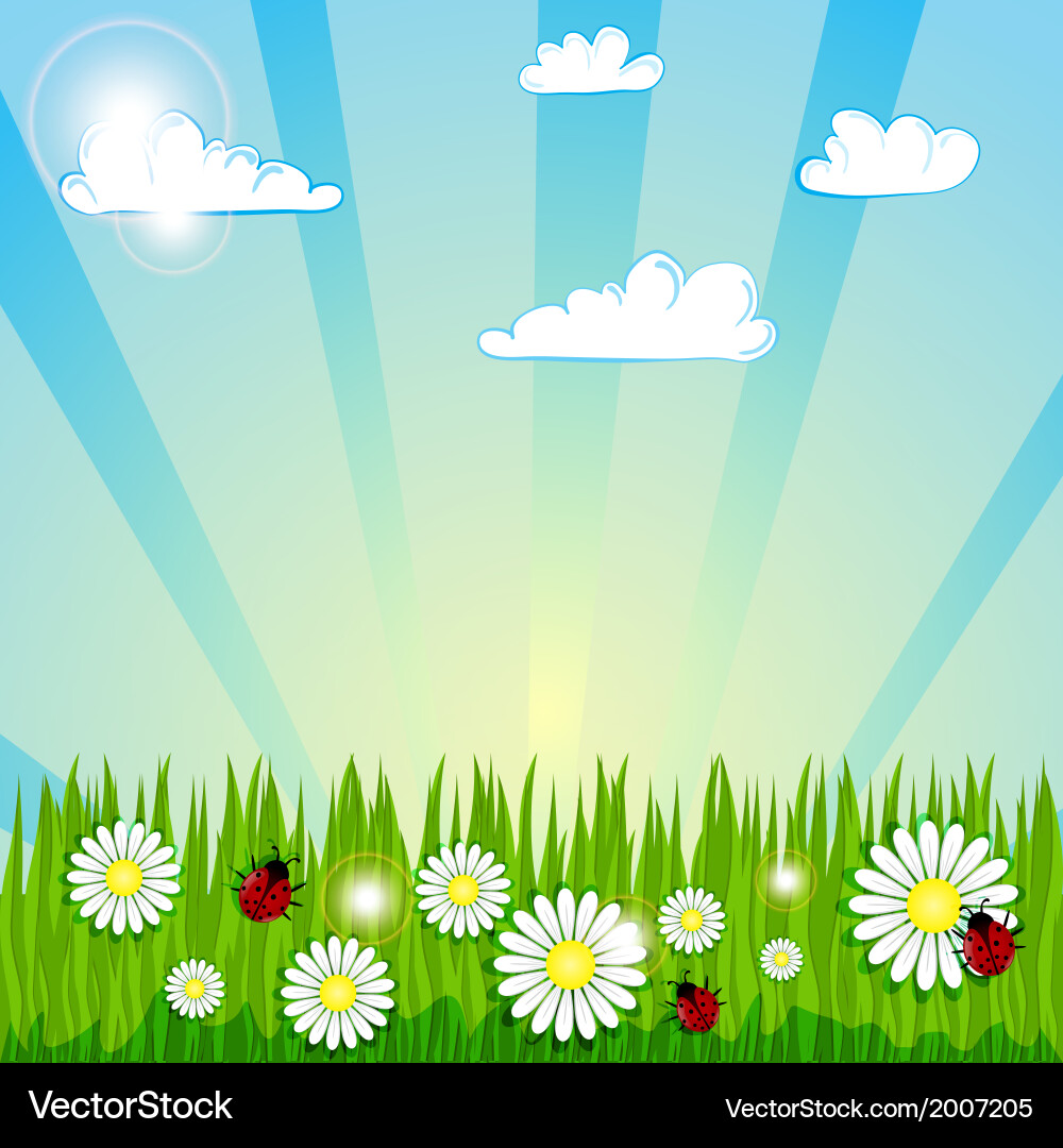 Spring summer background Royalty Free Vector Image