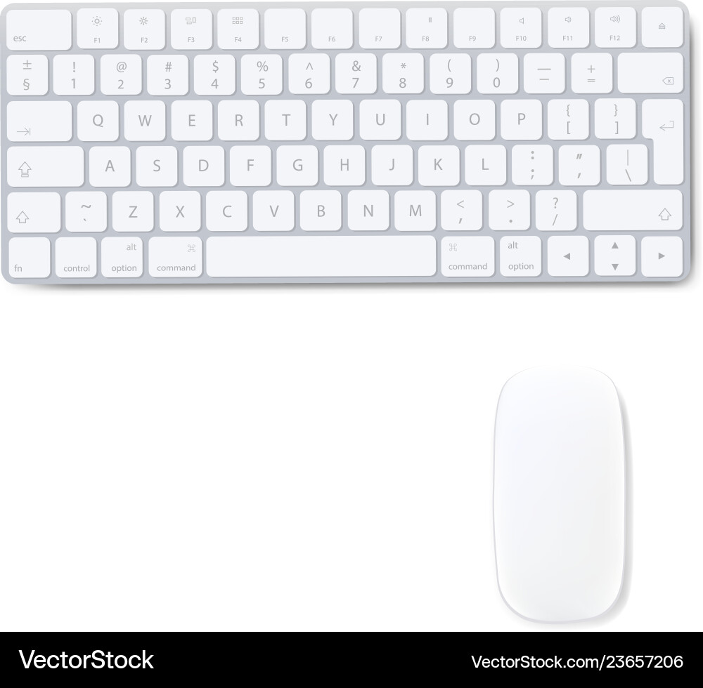 Computer Keyboard and Mouse on White Background vector image