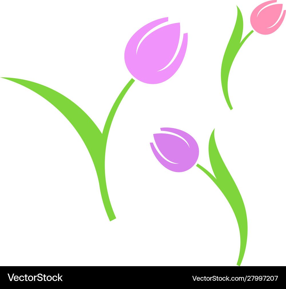 Spring Tulip Flowers Royalty Free Vector Image