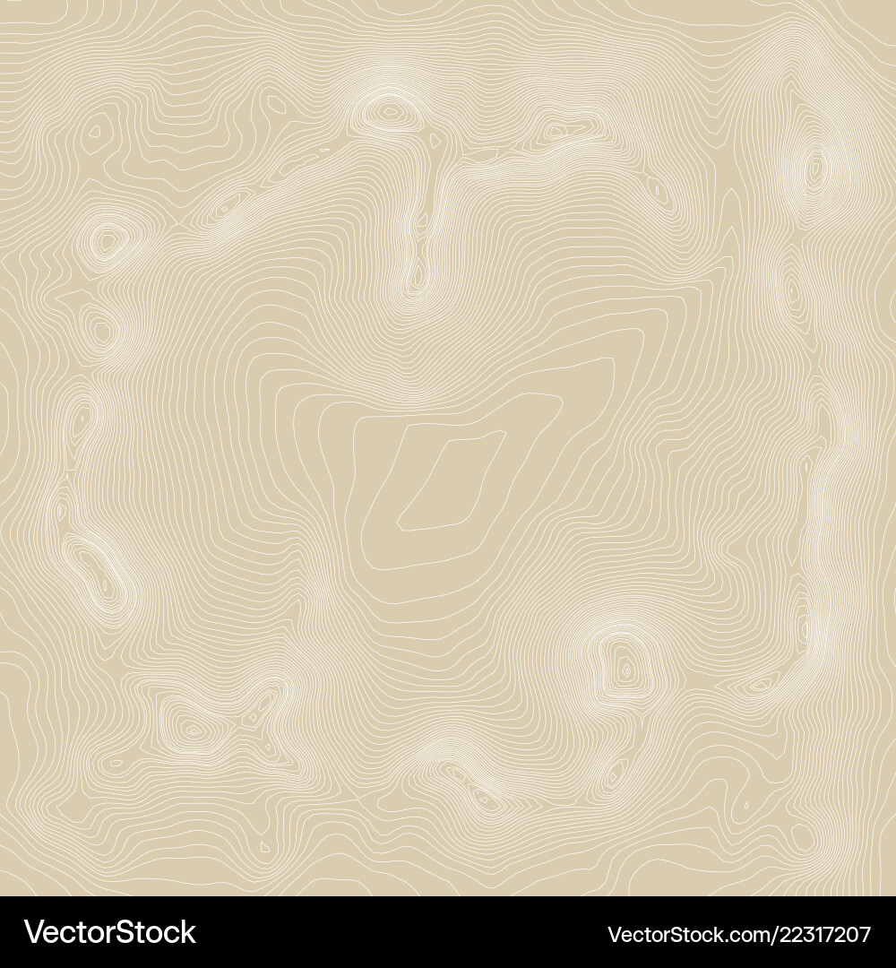 Topographic map background concept with space Topographic map background concept with space vector image