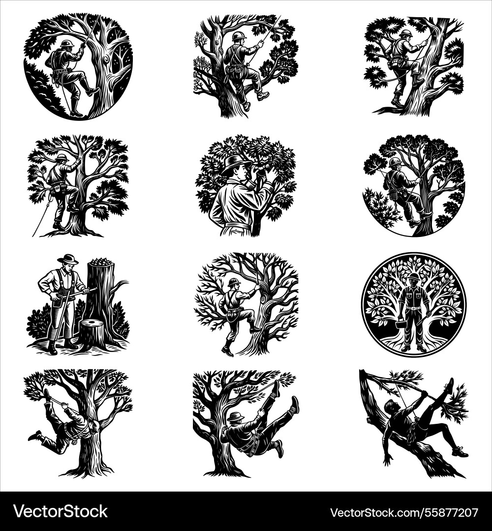 Tree arborist bundle Tree arborist bundle Vector Image