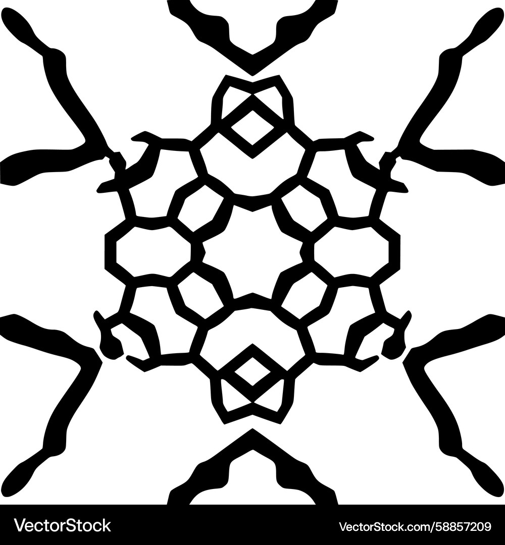 Complex Geometric Snowflake Vector Image