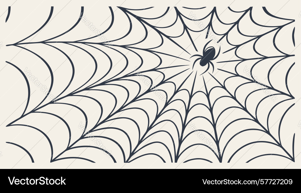 Spider web with intricate nature design vector image