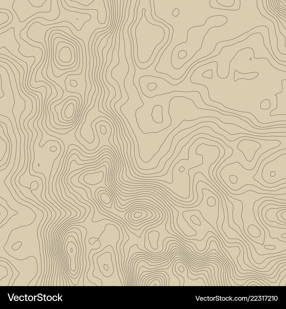 Topographic map background concept with space Vector Image