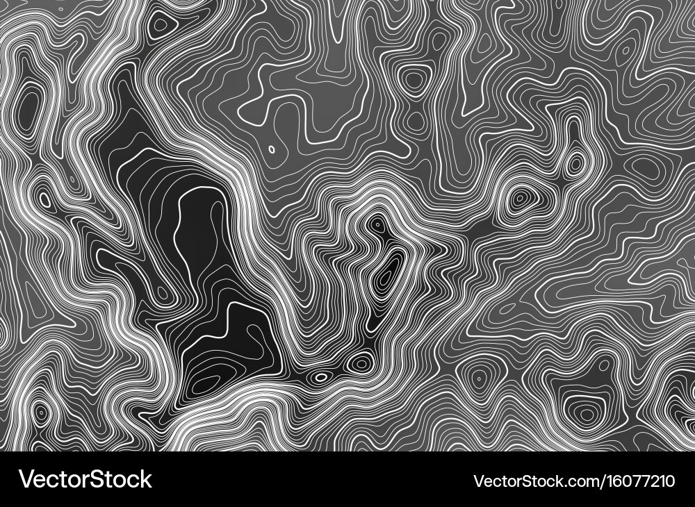 Topographic Map Background vector image