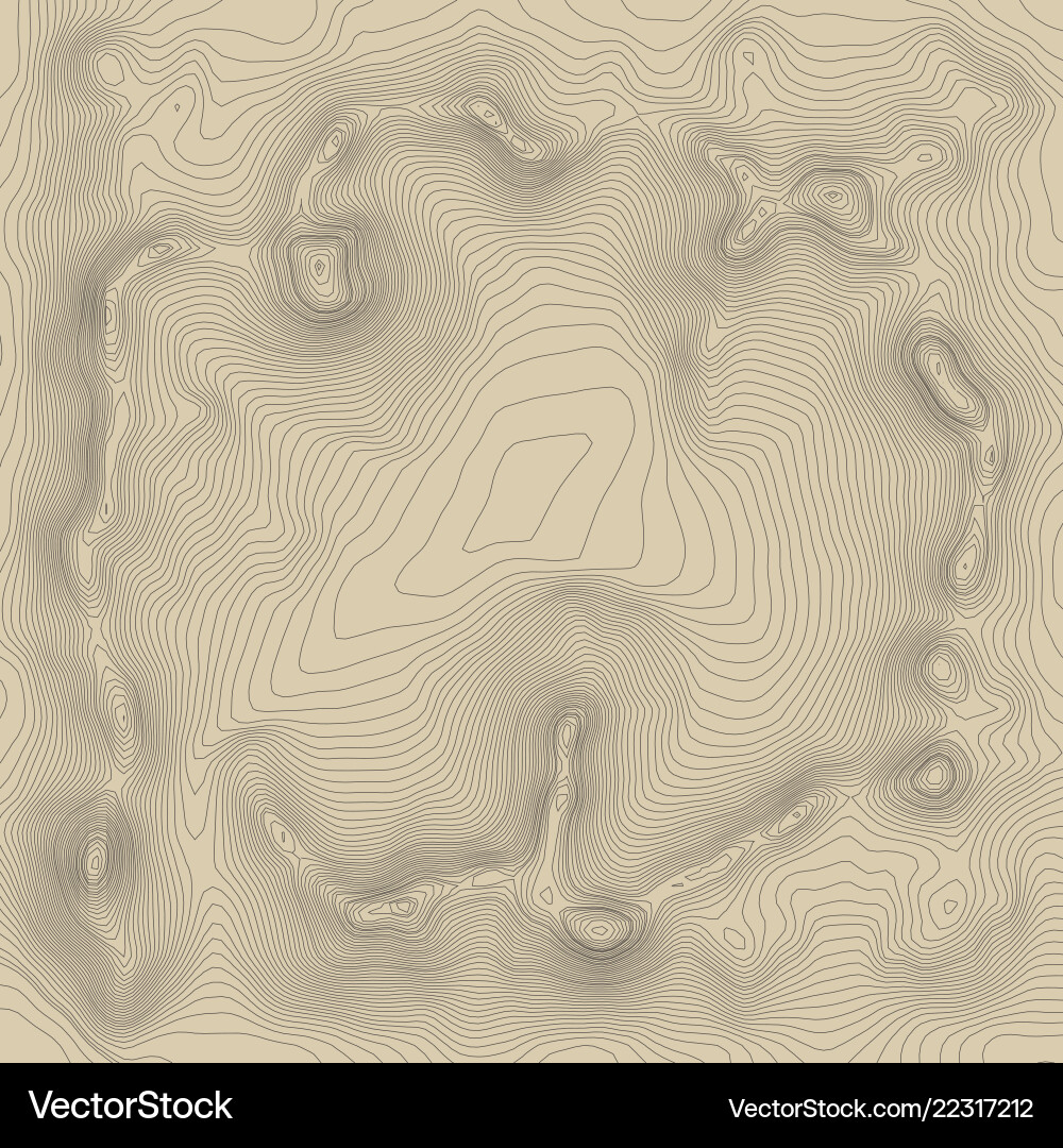 Topographic map background concept with space Topographic map background concept with space vector image
