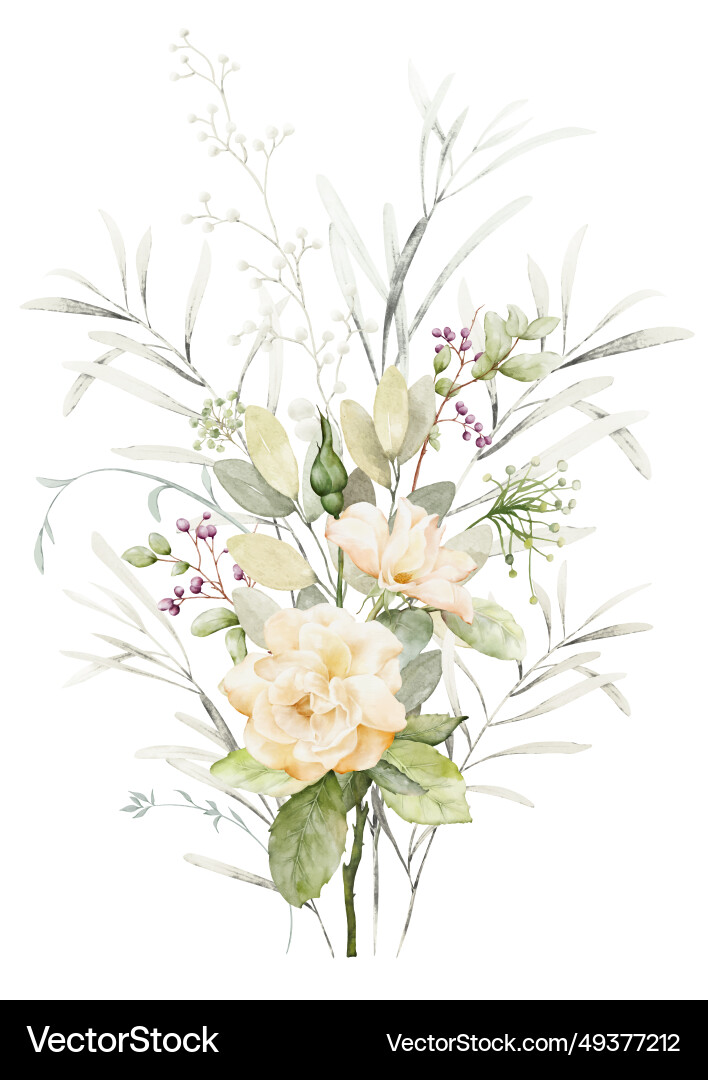 Watercolor floral branch elements Watercolor floral branch elements vector image