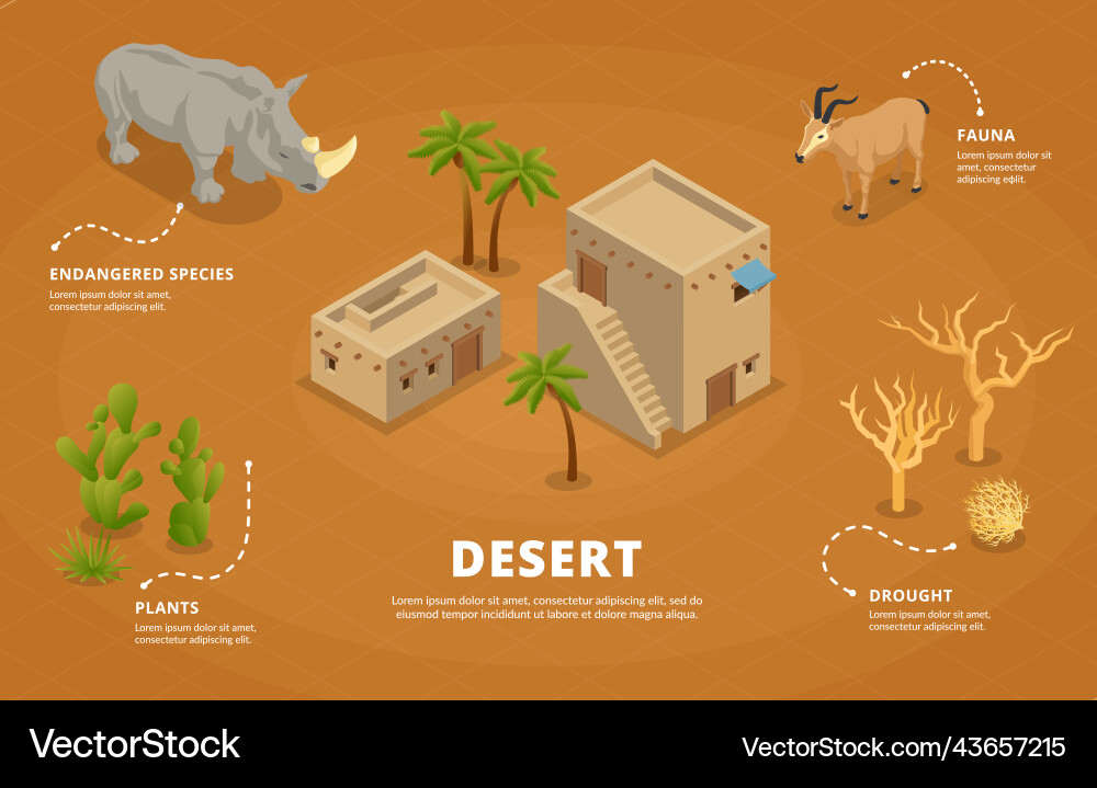 Desert isometric infographics vector image