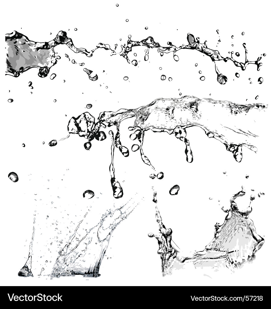 Dynamic Water Splashes Vector Image