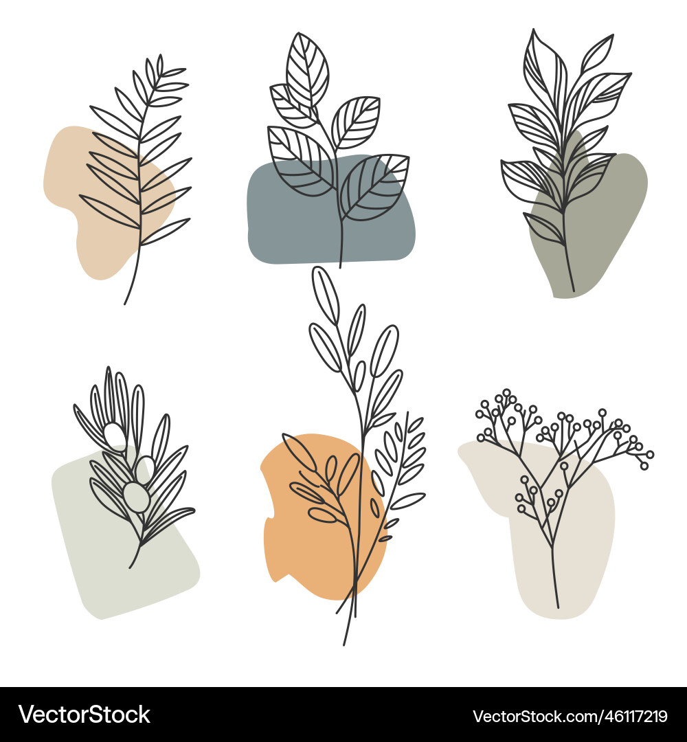 Aesthetic plant elements leaves and branches Aesthetic plant elements leaves and branches vector image