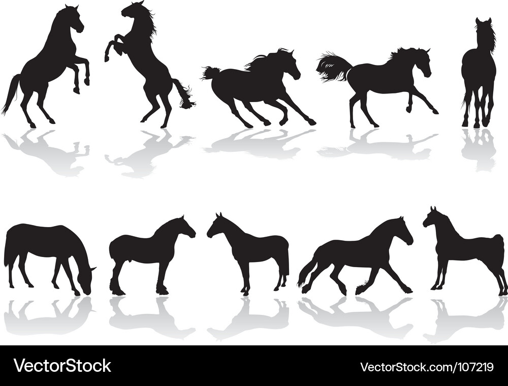Equine Silhouette in Motion Vector Image