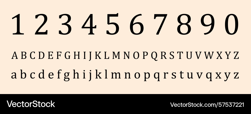 Elegant serif font displaying numbers and alphabet vector image
