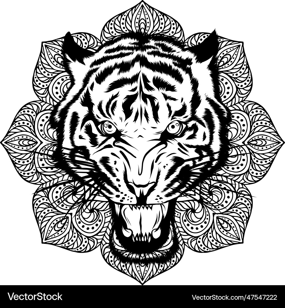 Outline of tiger head design Outline of tiger head design Vector Image
