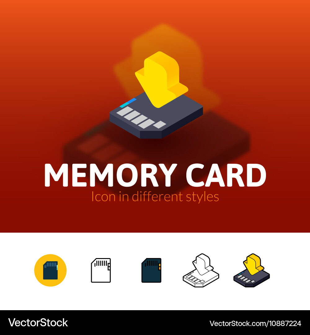 Memory card icon in different style Vector Image