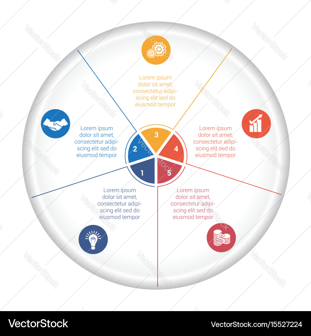 Pie chart diagram data 5 options for text area Vector Image
