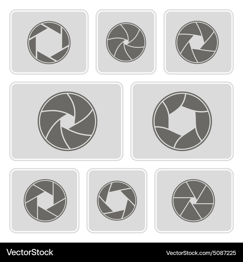 Camera Shutter Icons vector image