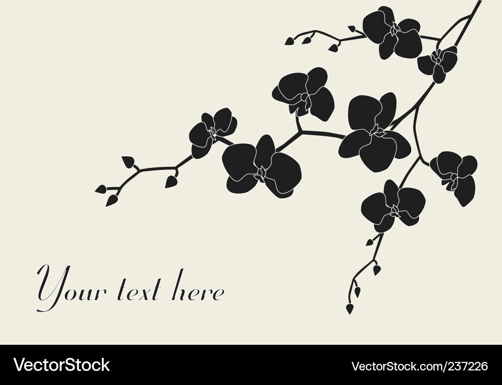 Orchid Flowers Vector Images (over 18,000)