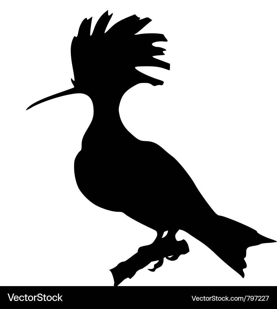Silhouette of hoopoe vector image