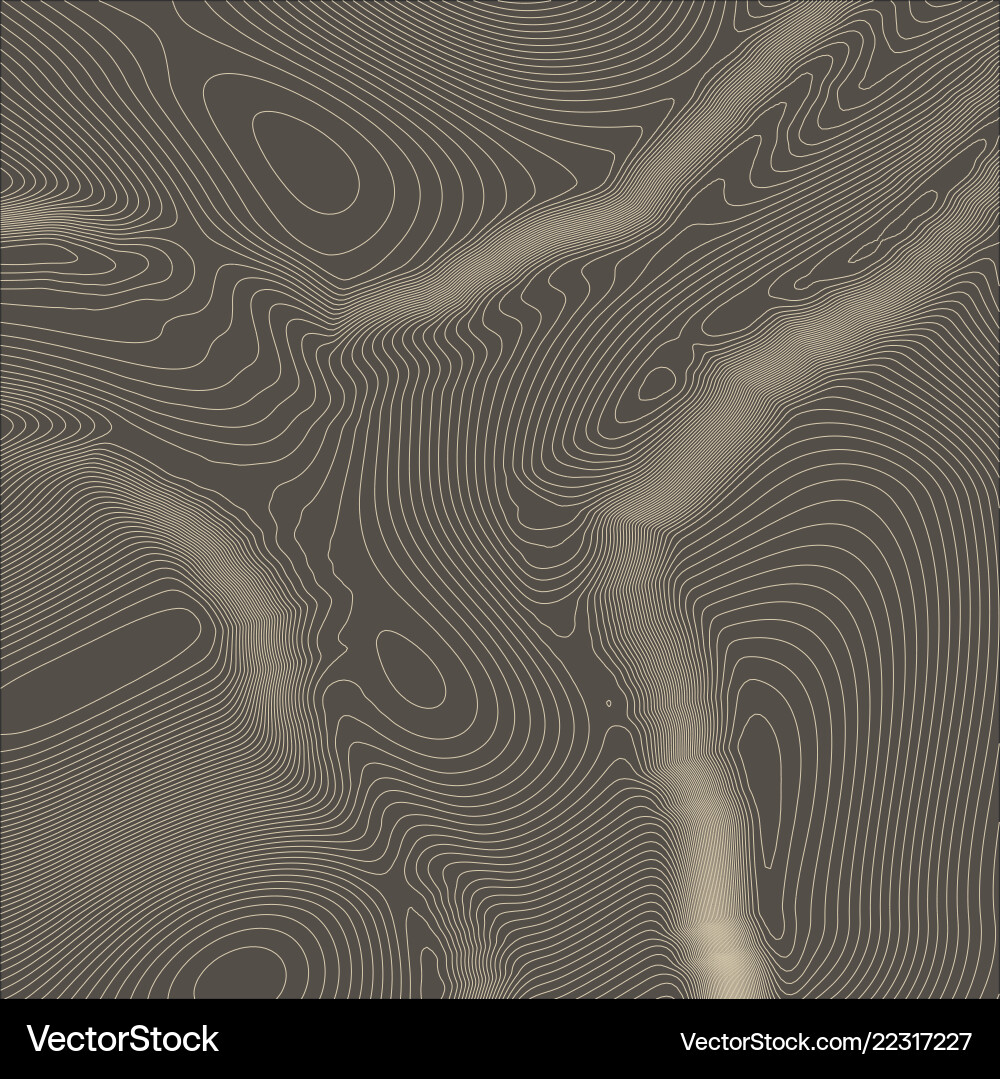 Topographic map background concept with space Topographic map background concept with space vector image