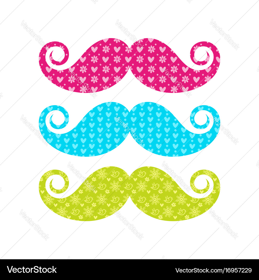 Beautiful colored mustache with different patterns vector image