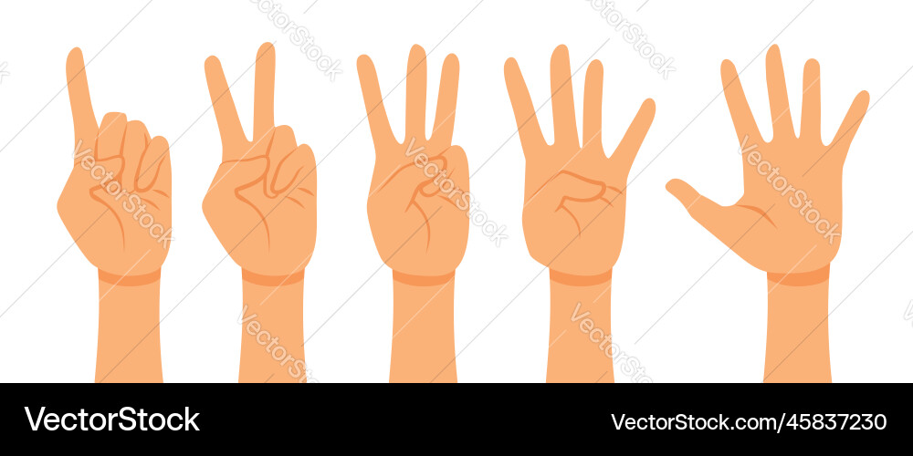 Counting hands from one to five set Counting hands from one to five set vector image
